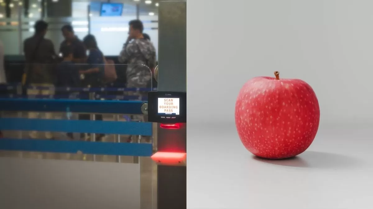 Una manzana pudo generar una multa muy alta. (Ilustración Vive América)