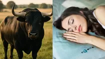 Soñar con toros puede representar fuerza interior, emociones reprimidas o desafíos personales, según expertos en interpretación onírica. Crédito: Ilustración AMTV