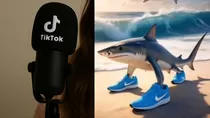 Frase viral “tralalero tralala” arrasa en TikTok como nuevo audio de humor dramático. Crédito: Ilustración AMTV