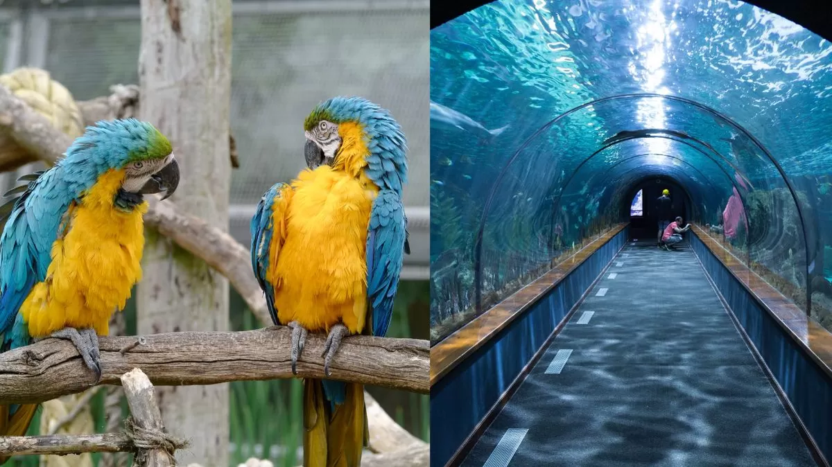 Florida lanza pase turístico con acceso ilimitado al Zoológico de Miami y otras atracciones