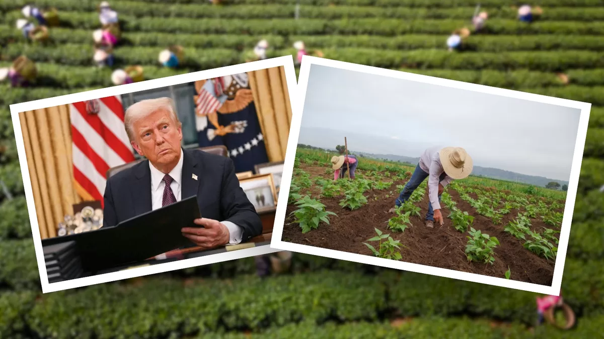 Inmigrantes indocumentados USA: ICE detuvo a 70 personas que trabajaban en una planta de Nebraska, una de las redadas reportadas por CNN. Crédito: Ilustración AMTV