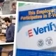 E-Verify+: La herramienta del gobierno de USA que verifica si puedes trabajar legalmente